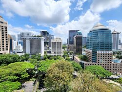 3 Cuscaden (D10), Apartment #446073281